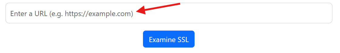 Image of the SSL checker tool interface